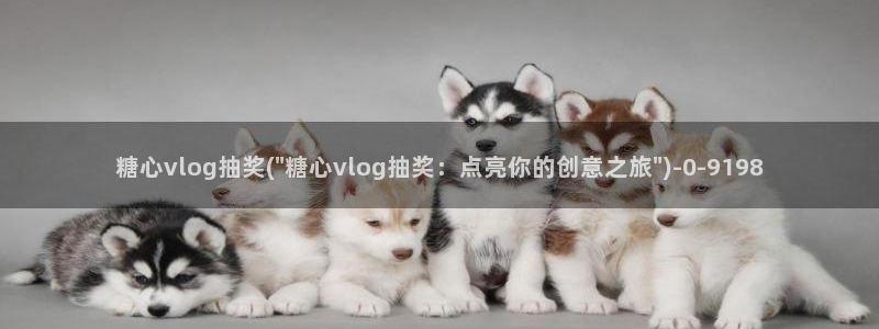 糖心vlog钻石会员