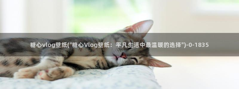 糖心vlog橘子