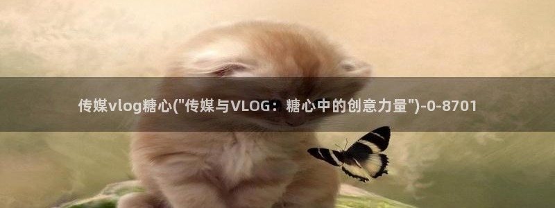 幸福宝糖心vlog
