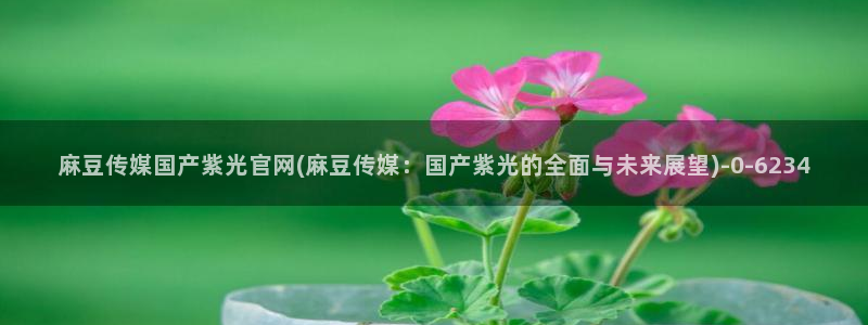 麻豆传媒官网介绍：麻豆传媒国产紫光官网(麻豆传媒：国产紫光的全面与未来展望)