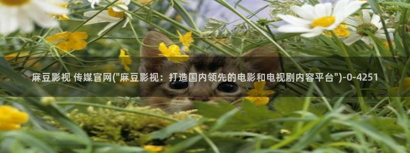 麻豆传媒印画官网：麻豆影视 传媒官网(\
