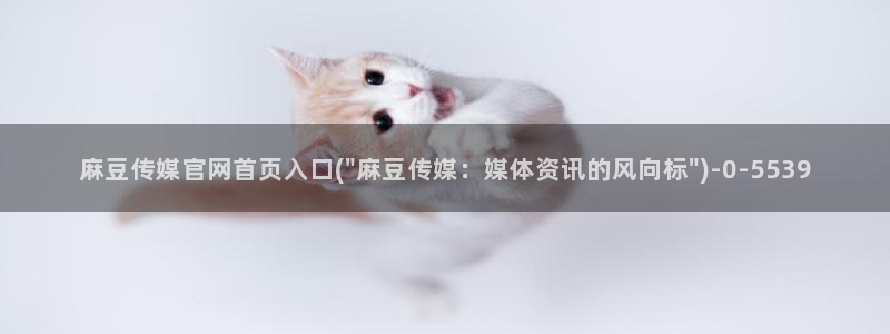 麻豆传媒官网18：麻豆传媒官网首页入口(\