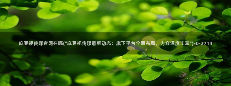 麻豆传媒画映官网观看：麻豆视传媒官网在哪(\