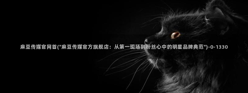 麻豆映象传媒官网：麻豆传媒官网首(\