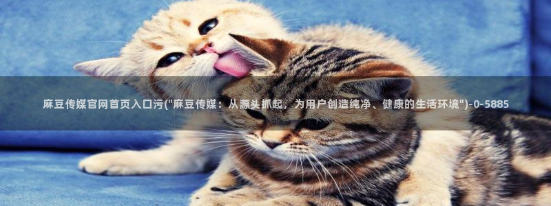 麻豆传媒官网欢迎你：麻豆传媒官网首页入口污(\