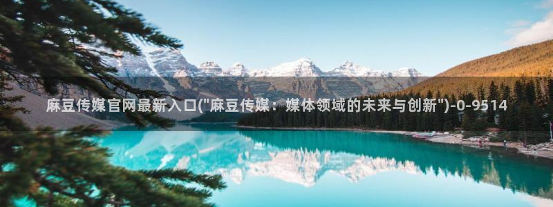 麻豆传媒官网影音先锋：麻豆传媒官网最新入口(\