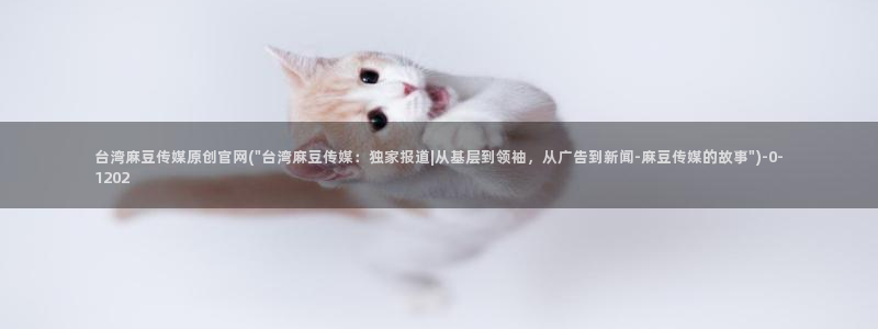 麻豆传媒官网是啥：台湾麻豆传媒原创官网(\