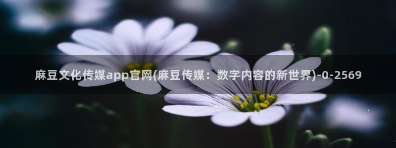 麻豆穿传媒官网：麻豆文化传媒app官网(麻豆传媒：数字内容的新世界)