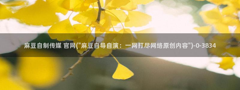 麻豆腐传媒官网：麻豆自制传媒 官网(\