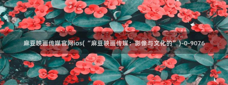 mdpun麻豆传媒官网：麻豆映画传媒官网ios(“麻豆映画传媒：影像与文化的”)