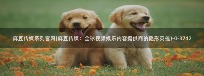 麻豆 传媒 官网推荐：麻豆传媒系列官网(麻豆传媒：全球视频娱乐内容提供商的隐形英雄)