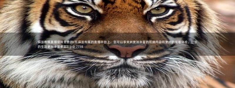 台湾麻豆传媒官网逍遥：麻豆传媒直播官网免费的(在麻豆传媒的直播平台上，您可以享受到更加丰富的视频内容和更好的观看体验，让您的生活更加丰富多彩！)