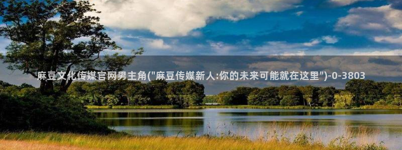 麻豆传媒官网 视频：麻豆文化传媒官网男主角(\