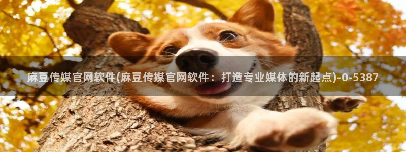 麻豆床传媒官网入口：麻豆传媒官网软件(麻豆传媒官网软件：打造专业媒体的新起点)