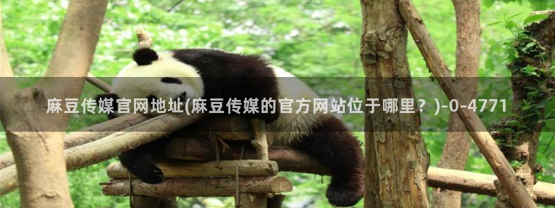 麻豆传媒官网怎么找到：麻豆传媒官网地址(麻豆传媒的官方网站位于哪里？)