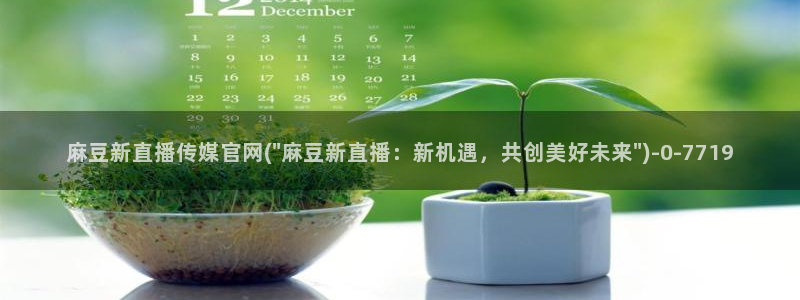 麻豆视传媒官网入口：麻豆新直播传媒官网(\