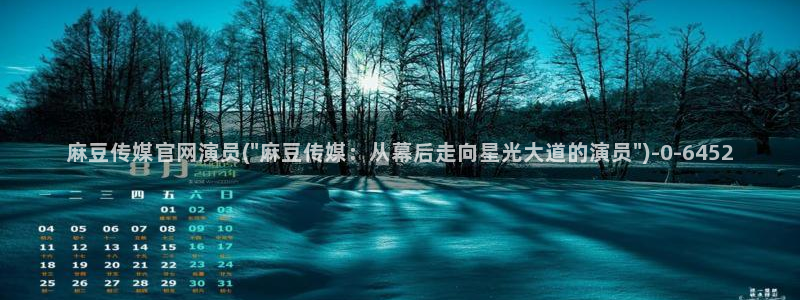 麻豆传媒官网app污：麻豆传媒官网演员(\