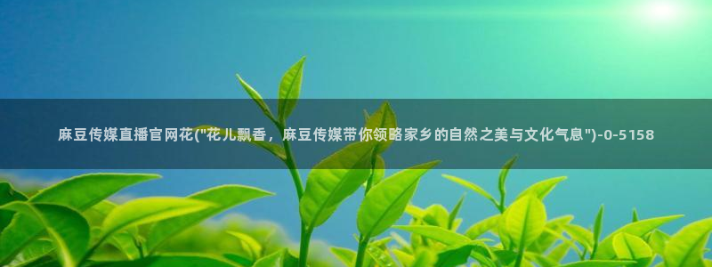 麻豆md传媒官网：麻豆传媒直播官网花(\
