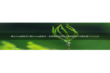 糖心vlog缓存：糖心vlog刷金币(\