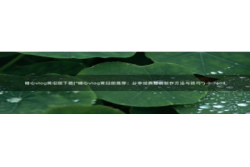 糖心vlog绑定邀请码：糖心vlog黄旧版下载(