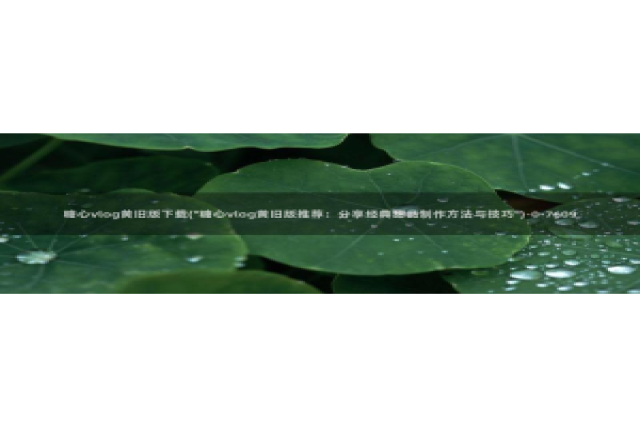 糖心vlog绑定邀请码：糖心vlog黄旧版下载(\