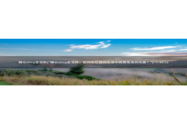 糖心vlog包子叫什么：糖心vlog老司机(\