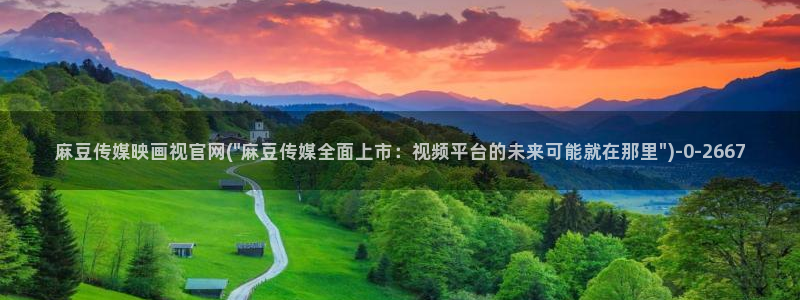 麻豆传媒官网www
